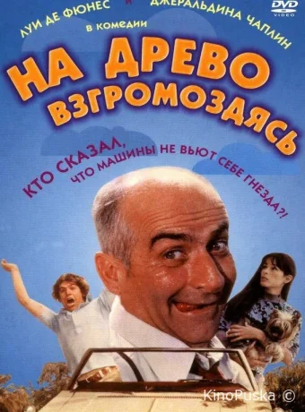 На древо взгромоздясь 