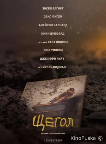 Щегол