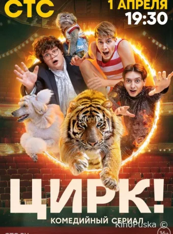 Цирк!