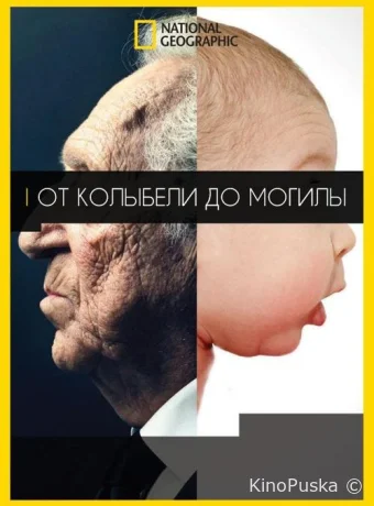 От колыбели до могилы