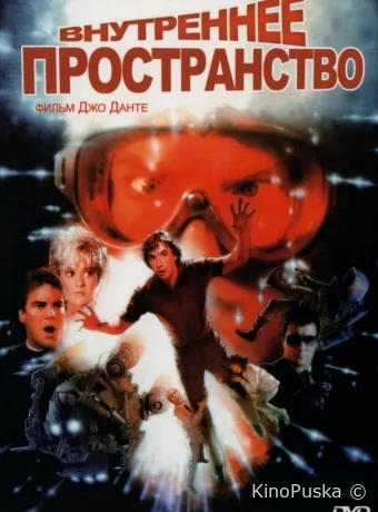 Внутреннее пространство